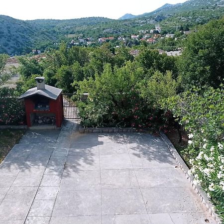 Villa Alexa Cesarica Bagian luar foto